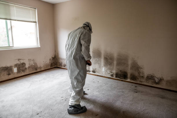 Princeton, WI Mold Remediation Company